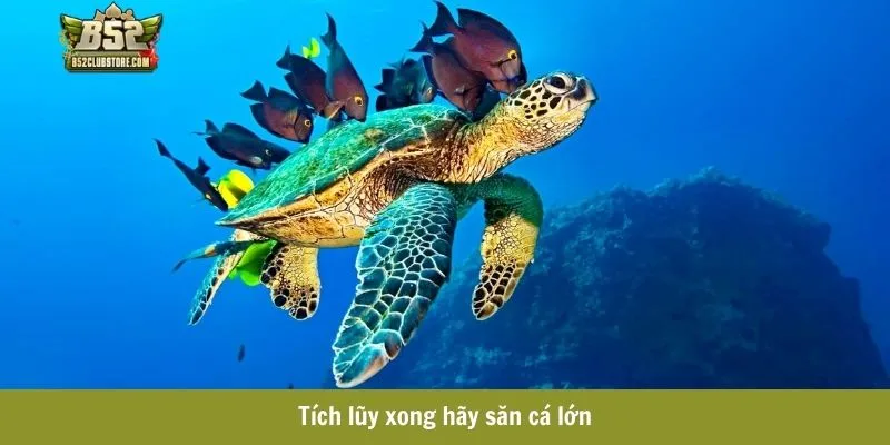 Tích lũy xong hãy săn cá lớn Tích lũy xong hãy săn cá lớn